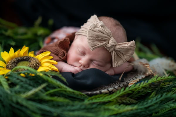 A sleeping baby wearing a large bow headband, surrounded by greenery and a sunflower.
